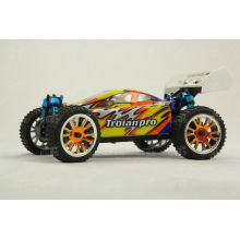 Electric Power Kinder RC Auto 1/16 Buggy